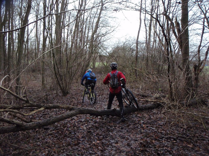 Waldtour 046